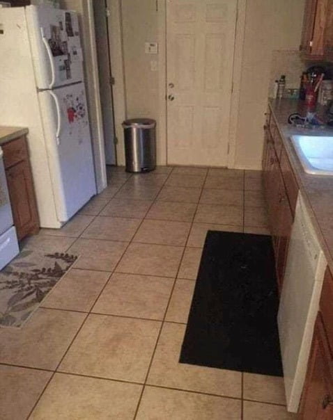 Can you find the large dog hiding in this kitchen? Can you find the large dog hiding in this kitchen?