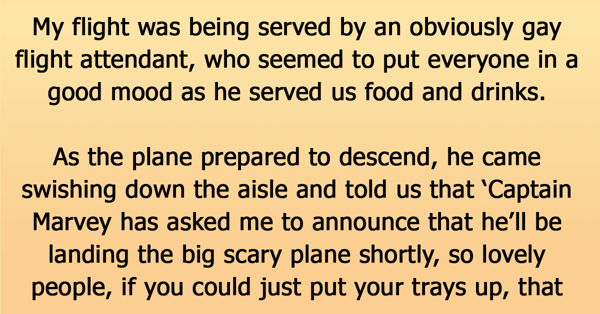 Rich Snobby Woman Gets Shut Down Hard By A Flamboyant Flight Attendant