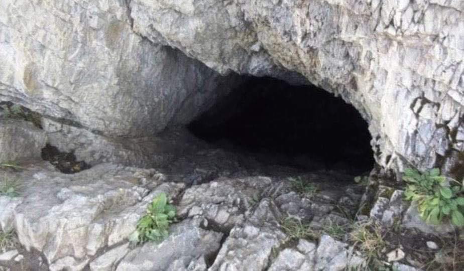 A Remarkable Story Of A Man And His Dog In A Cave.