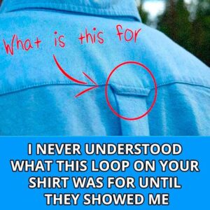 Why Do Button-Down Shirts Have Loops On the Back?