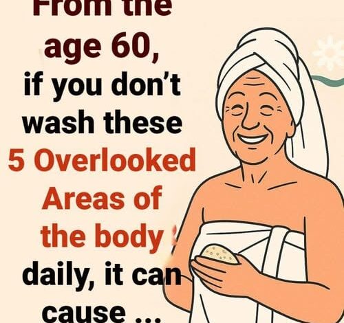 From the age 60, Remember to Wash These 5 Overlooked Areas of the Body to Stay Fresh, Healthy, and Energized From the age 60, Remember to Wash These 5 Overlooked Areas of the Body to Stay Fresh, Healthy, and Energized