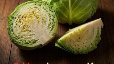 Cabbage Is Packed with Health Benefits — But Some People May Need to Be More Careful