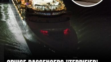 Cruise Passengers Were Told to Turn Off Their Lights and Shut Curtains — The Real Reason Left Everyone Speechless