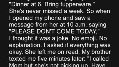 A Simple Text That Uncovered a Family Secret We Never Expected