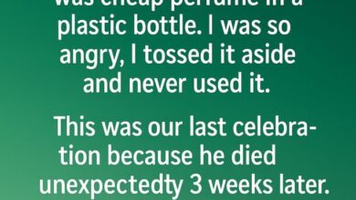 The “Cheap” Perfume I Threw Away Hid a Secret That Changed Everything