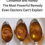 The Timeless Magic of Honey and Cinnamon: A Duo Loved Through the Ages