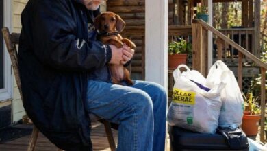 When a Family Disagreement Over a Rescued Puppy Changed Everything