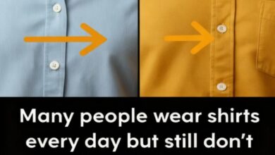 Why Women’s Shirt Buttons Are on the Left — The Surprising History Most People Don’t Know