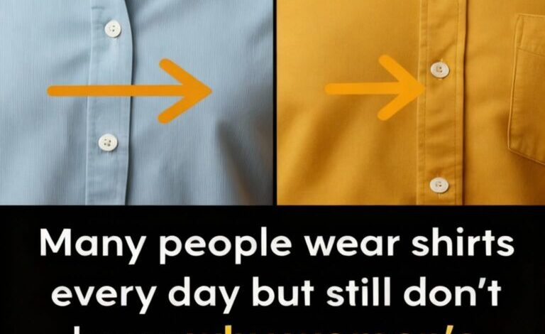 Why Women’s Shirt Buttons Are on the Left — The Surprising History Most People Don’t Know
