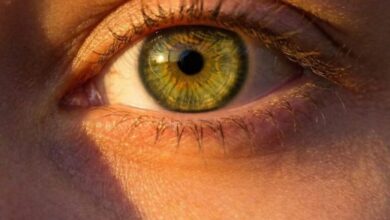 What Green Eyes Can Reveal: Fascinating Facts and Unique Traits