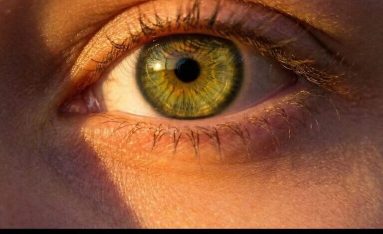 What Green Eyes Can Reveal: Fascinating Facts and Unique Traits What Green Eyes Can Reveal: Fascinating Facts and Unique Traits