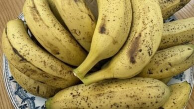Why Some People Are Boiling Bananas—and What They’ve Noticed After a Week