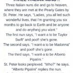 A Heavenly Joke That Reminds Us What Happiness Really Looks Like