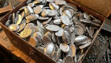 This Strange Old Tool Was Once in Every Home—Can You Guess What It Was Used For?