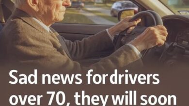 Behind the Wheel at Any Age: How State Rules Help Keep Older Drivers Safe