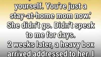 I Thought I Knew My Wife—Until a Package at Our Door Proved Me Wrong