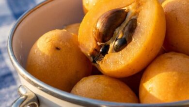 I Spent Years Wondering About This Fruit—Finding Its Name Led Me to a Recipe I’ll Never Forget