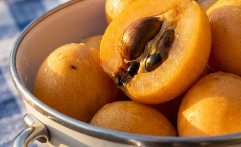 I Spent Years Wondering About This Fruit—Finding Its Name Led Me to a Recipe I’ll Never Forget I Spent Years Wondering About This Fruit—Finding Its Name Led Me to a Recipe I’ll Never Forget