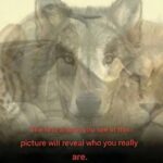 The First Animal You Spot Might Reveal a Hidden Side of Your Personality