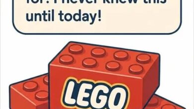The Surprising Meaning Behind the LEGO Name—and Why It Still Matters Today