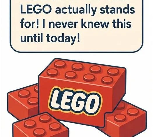 The Surprising Meaning Behind the LEGO Name—and Why It Still Matters Today The Surprising Meaning Behind the LEGO Name—and Why It Still Matters Today