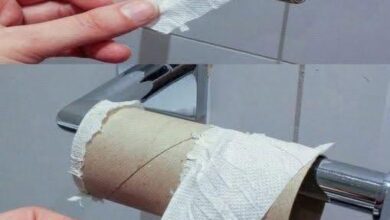 Why More People Are Rethinking Toilet Paper and Choosing Greener Bathroom Habits