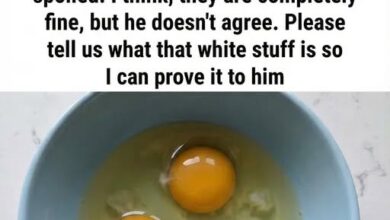 That White String in Your Egg Isn’t a Flaw — Here’s What It Really Means