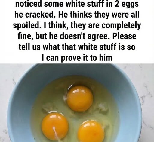 That White String in Your Egg Isn’t a Flaw — Here’s What It Really Means That White String in Your Egg Isn’t a Flaw — Here’s What It Really Means