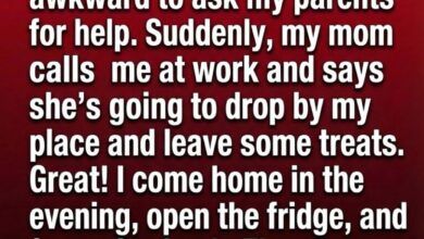 The Night I Opened My Fridge and Realized I Wasn’t as Alone as I Thought