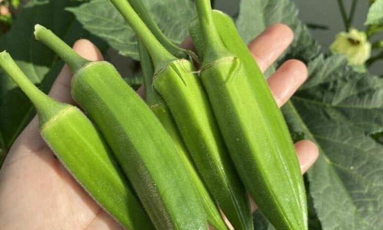 Why Okra May Support Health, According to Experts