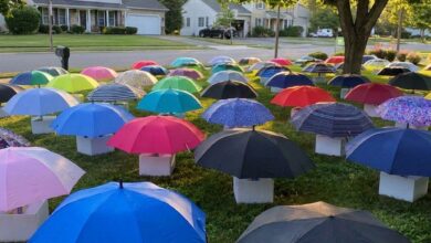 My Son Shared His Umbrella With a Stranger in the Rain—The Next Morning, Our Lawn Was Filled With Unexpected Gifts