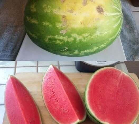 How To Pick The Best Fruits At The Grocery Store