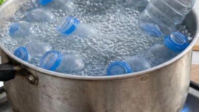 Before You Throw Away Plastic Bottles, Try This Easy DIY Idea That Gives Them a Second Life