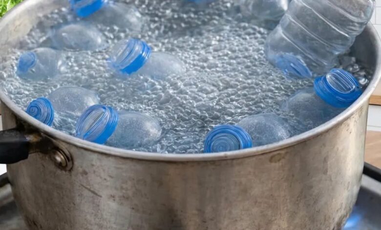 Before You Throw Away Plastic Bottles, Try This Easy DIY Idea That Gives Them a Second Life