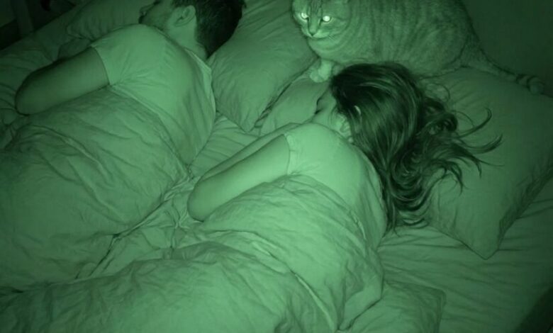The Night Our Cat Revealed a Secret Side of Her Personality