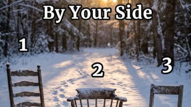 Pick a Chair — It Reveals Who Will Truly Stay by Your Side for Life