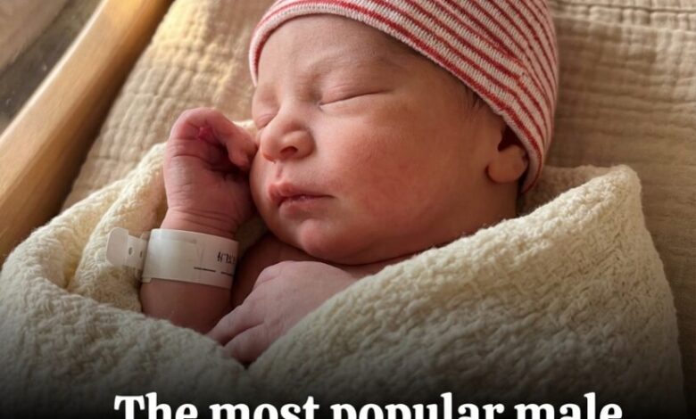 A Forgotten Classic Is Set to Charm a New Generation of Parents in 2026
