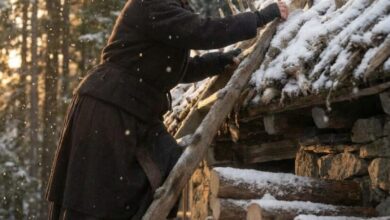 Neighbors Mocked Her Summer Project—Until Winter Proved She Was Right