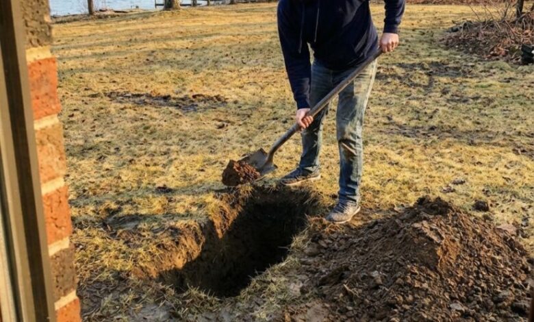 I Thought My Family Was at Disneyland—Then I Found My Husband Hiding Something Behind Our Lake House