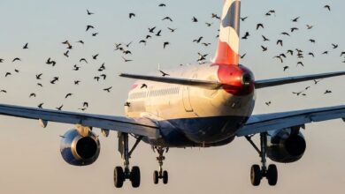 The Unexpected Reason a Pilot Became Emotional After Safely Landing His Plane