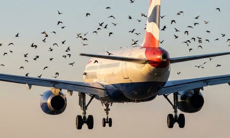The Unexpected Reason a Pilot Became Emotional After Safely Landing His Plane