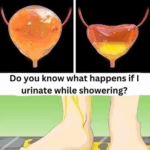 Why Women Should Think Twice Before Peeing in the Shower