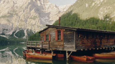 I Drove to My Lake House and Found My Family Gutting It — Then the Forged Deed Exposed Why