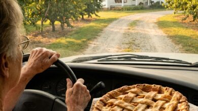An Anonymous Bidder Paid 0 for My Church Pie Every Year for 12 Years — This Year the Money Order Said “Deliver It in Person”