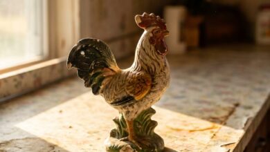 I Cut Open My Mother’s Ceramic Rooster — The Ziploc Bag Inside Changed Everything
