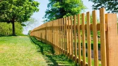 My Neighbor Tore Down My Fence for Her Dream Deck — Five Inches of Cedar Stopped the Entire Renovation