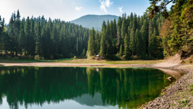 My Sister-in-Law Stole the Keys to My Mother’s Lake House — She Never Expected What I Had Waiting for Her