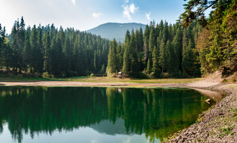 My Sister-in-Law Stole the Keys to My Mother’s Lake House — She Never Expected What I Had Waiting for Her