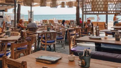 My Family Told Me to Stay Home — Then the Resort Director Revealed Who Owned It