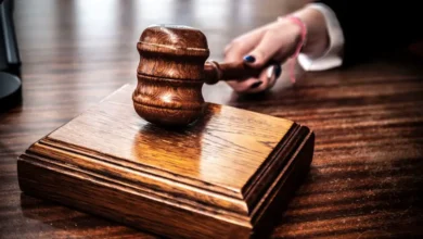 My Husband Claimed I Built Nothing — Then the Judge Read the First Ownership Record